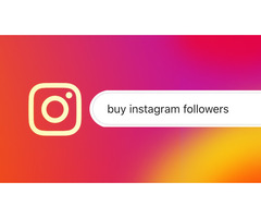Buy Real Instagram Followers in Florida at Affordable Price