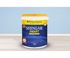Interior Wall Painting Solutions - 2
