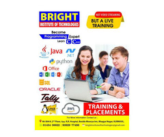 Tally Training and Placement | Oracle Training