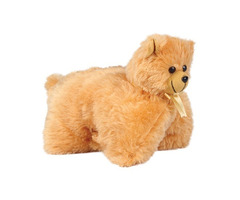 Buy Cute Plush Pillows for Kids Online