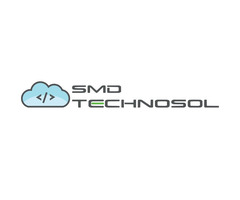HR Consulting Companies Dallas | SMD Technosol