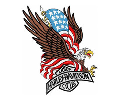 C130 Patches for You | True Digitizing