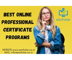Best Online Professional Certificate Programs