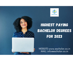 Highest Paying Bachelor Degrees
