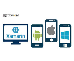 Hire Xamarin Developer in USA