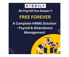 Best HR Software For Payroll