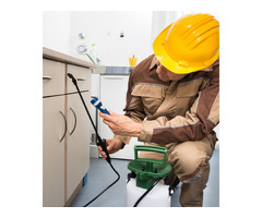 Affordable Pest Control Dubai