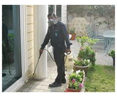Home Pest Control Dubai
