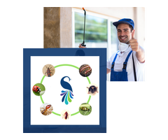 Ant Pest Control Dubai