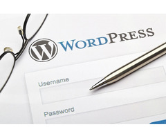 Top-Quality WordPress Developer for Hire