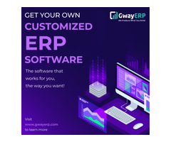 Best Offshore Erp Software Development Company - 2