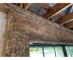 Termite Damage Repair