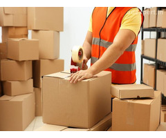 FedEx International Packers & Movers