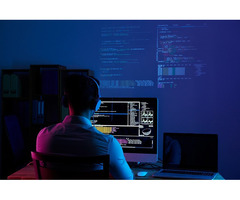 Professional Web Development Company for you