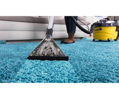 Professional Carpet Cleaning
