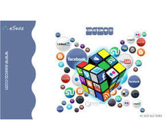 Best SEO Company in Indiana