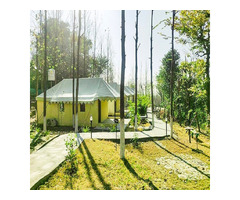 Best Resorts in Himachal Pradesh-Resorts in Himachal