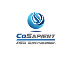 CoSapient Inc.