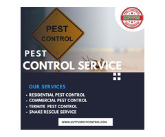Pest Control Service in Muzaffarnagar