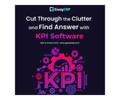 Customized ERP Software in India