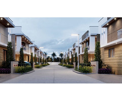 Elevate Your Living Standards