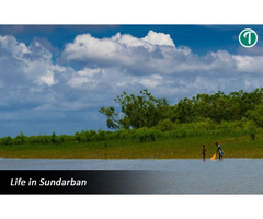 Sundarban Package Tour From Kolkata