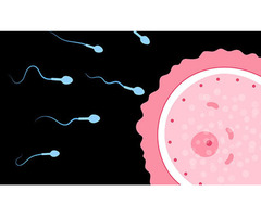 Best Ivf Centre In Bangalore