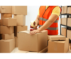 FedEx Packers and Movers Gurugram