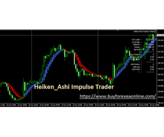 Professional Forex Fund Management