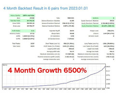 Professional Forex Fund Management - 2