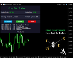 Professional Forex Fund Management - 4
