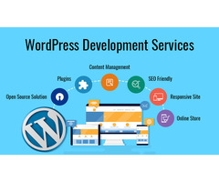 CMS Implementation Wordpress Website Developer | Vapour Soft