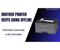 Brother Printer Keeps Going Offline