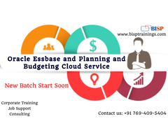 Oracle Essbase and Planning and Budgeting Cloud Service