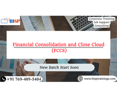 Learn Financial Consolidation and Close Cloud (FCCS)