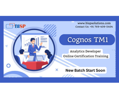 Cognos TM1 Analytics Developer Online Certification