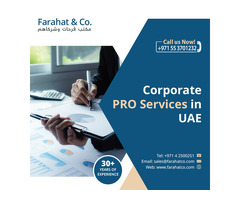 Outsource your Corporate PRO Services in Dubai
