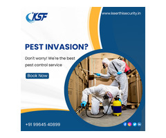 Pest Control Services in Bangalore Keerthisecurity