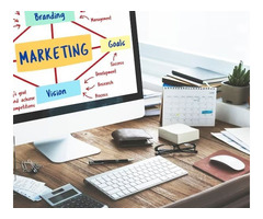 Digital Marketing Company in Amritsar
