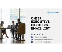 Buy the Ultimate CEO Email List for Business Growth