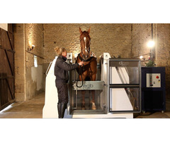 Equine Cold Water Spa For horses at ECB Equine Spas - 2