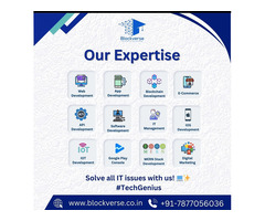 India's Top App Developers: Blockchain Innovators!