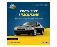 Experience Luxurious New York Limo Service - Carmellimo