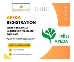 What is the APEDA Registration Process for Business?