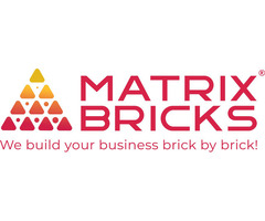 Top National SEO Experts in Matrix Bricks USA