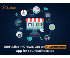 eCommerce Development:Seamless Solutions for Your Success