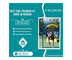 Best Dog Training at Home in Mumbai