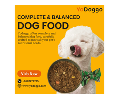 Yodoggo: Simple Dog Food Delivery for Healthier Puppies
