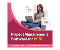 Banking Industry Project Management Software .