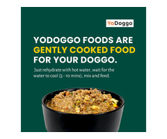 Complete and Balanced Dog Food at Yodoggo